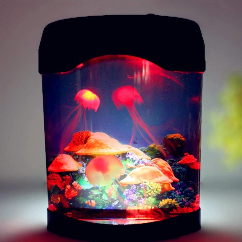 Fish tank outlet night light