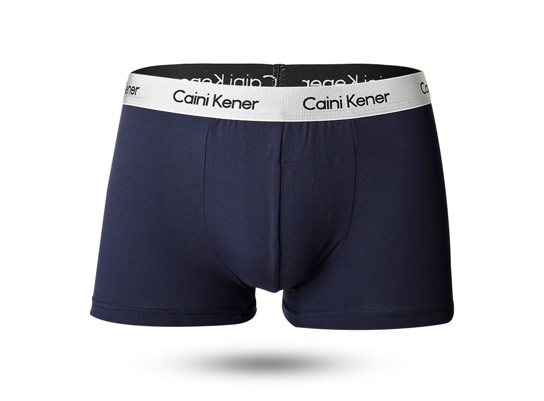4Pcs Men Panties Boxers Cotton Breathable Underpants Briefs 2024