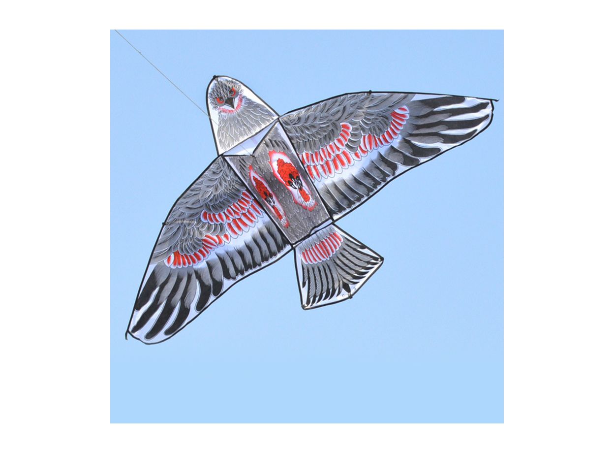 1.1m Flat Eagle Kite With 30 Meter Kite Line Children Flying Bird Kites
