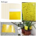 BEHOGAR 5PCS 15*20CM DUAL SIDED STICKY TRAPS BOARD FOR OUTDOOR INDOOR FLYING PLANT PEST BEHOGAR 5PCS 15*20CM DUAL SIDED STICKY TRAPS BOARD FOR OUTDOOR INDOOR FLYING PLANT PEST