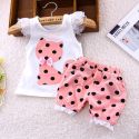 SUMMER KOREAN BABY GIRLS CLOTHING SET CHILDREN BOW CAT SHIRT+SHORTS SUIT 2PCS KIDS POLKA SUMMER KOREAN BABY GIRLS CLOTHING SET CHILDREN BOW CAT SHIRT+SHORTS SUIT 2PCS KIDS POLKA