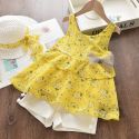 BEAR LEADER GIRLS CLOTHING SETS 2020 SUMMER KIDS CLOTHES FLORAL CHIFFON HALTER+EMBROIDERED SHORTS \ BEAR LEADER GIRLS CLOTHING SETS 2020 SUMMER KIDS CLOTHES FLORAL CHIFFON HALTER+EMBROIDERED SHORTS \