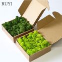 ARTIFICIAL PLANTS ETERNAL LIFE MOSS / GARDEN HOME DECORATION WALL DIY FLOWER MATERIAL ARTIFICIAL PLANTS ETERNAL LIFE MOSS / GARDEN HOME DECORATION WALL DIY FLOWER MATERIAL
