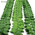 GREEN SILK ARTIFICIAL HANGING IVY LEAF GARLAND PLANTS VINE LEAVES 1PCS DIY FOR HOME BATHROOM DECORATION GREEN SILK ARTIFICIAL HANGING IVY LEAF GARLAND PLANTS VINE LEAVES 1PCS DIY FOR HOME BATHROOM DECORATION