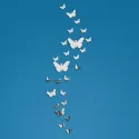 25PCS/LOT MIRROR BUTTERFLY KITCHEN WALL ART DECAL ACRYLIC STICKER WALL STICKER FOR KIDS ROOM DECORATION WALL DECALS