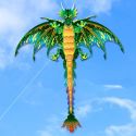3D PTEROSAUR KITE ANIMAL DINOSAUR KITE LONG TAIL SINGLE LINE KITE OUTDOOR SPORTS FUN TOY 3D PTEROSAUR KITE ANIMAL DINOSAUR KITE LONG TAIL SINGLE LINE KITE OUTDOOR SPORTS FUN TOY