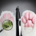 PET FOOT HAIR TRIMMER DOG GROWING CLIPPER USB RECHARGEABLE BUTT EAR EYES HAIR PET FOOT HAIR TRIMMER DOG GROWING CLIPPER USB RECHARGEABLE BUTT EAR EYES HAIR