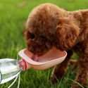 DOG TRAVEL WATER BOTTLE PORTABLE PET DOG WATER BOTTLE DRINKING WATER FEEDER DOG TRAVEL WATER BOTTLE PORTABLE PET DOG WATER BOTTLE DRINKING WATER FEEDER