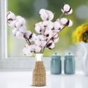 NATURALLY DRIED COTTON STEMS FARMHOUSE ARTIFICIAL FLOWER FILLER FLORAL DECOR NATURALLY DRIED COTTON STEMS FARMHOUSE ARTIFICIAL FLOWER FILLER FLORAL DECOR