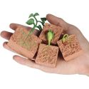 KIDS PLANT SEEDS GROWTH LIFE CYCLE PLAYSET COGNITIVE TOYS TEACHING AIDS KIDS PLANT SEEDS GROWTH LIFE CYCLE PLAYSET COGNITIVE TOYS TEACHING AIDS