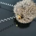 1PC CAT TEASER TOY INTERACTIVE PLUSH CAT SPRING WAND KITTEN TOY BALL WITH SUCKER BELL PET 1PC CAT TEASER TOY INTERACTIVE PLUSH CAT SPRING WAND KITTEN TOY BALL WITH SUCKER BELL PET