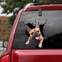 CAR STICKERS 3D STEREO ANIME FUNNY CREATIVE PERSONALITY DOG SIMULATION STICKERS CAR STYLING CAR STICKERS 3D STEREO ANIME FUNNY CREATIVE PERSONALITY DOG SIMULATION STICKERS CAR STYLING