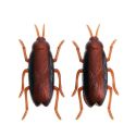 1PC FUNNY SIMULATION OF COCKROACHES PET CAT DOG KITTEN INTERACTIVE TRAINING PLAY TOY 1PC FUNNY SIMULATION OF COCKROACHES PET CAT DOG KITTEN INTERACTIVE TRAINING PLAY TOY