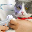 PROFESSIONAL PET NAIL CLIPPER SCISSORS PET DOG CAT NAIL TOE CLAW CLIPPERS SCISSOR LED LIGHT PROFESSIONAL PET NAIL CLIPPER SCISSORS PET DOG CAT NAIL TOE CLAW CLIPPERS SCISSOR LED LIGHT