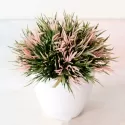 ARTIFICIAL POTTED PLANT BONSAI PLASTIC FLOWERPOT ORNAMENTS SIMULATION PLANTS GRASS