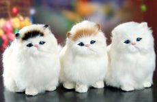Real Hair Cat Dolls Simulation animal toy cats will meowth children's pet cat plush toys