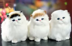 REAL HAIR CAT DOLLS SIMULATION ANIMAL TOY CATS WILL MEOWTH CHILDREN'S PET CAT PLUSH TOYS
