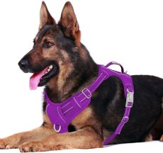 BARKBAY No Pull Dog Harness Front Clip Heavy Duty Reflective Easy Control Handle for Large Dog Walking with ID tag Pocket(Purple)