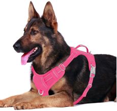 BARKBAY No Pull Dog Harness Front Clip Heavy Duty Reflective Easy Control Handle for Large Dog Walking with ID tag Pocket(Pink)