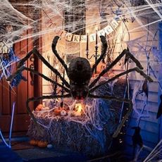 Black Spider Halloween Decoration Haunted House Prop Indoor Outdoor