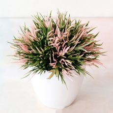 Artificial Potted Plant Bonsai Plastic Flowerpot Ornaments Simulation Plants Grass