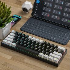 Mini Gaming Mechanical Keyboard 61 Keys Type-C Blue Switch RGB Lights
