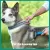 2 IN 1 PET GROOMING TOOL DEMATTING COMB FOR DOGS & CATS 2 SIDED UNDERCOAT RAKE DESHEDDING TOOL CAT MATTED FUR REMOVER FOR LONG HAIRED CAT DOG TANGLES REMOVING（BLUE）