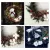 CHRISTMAS WREATH FRONT DOOR WALL HANGING RATTAN ARTIFICIAL FLOWERS RED BERRY VENUE LAYOUT