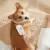 STEAMY CAT BRUSH 3 IN 1 ELECTRIC ANTI-SPLASHING FOR MASSAGE PET GROOMING COMB HAIR REMOVAL COMBS