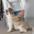 STEAMY CAT BRUSH 3 IN 1 ELECTRIC ANTI-SPLASHING FOR MASSAGE PET GROOMING COMB HAIR REMOVAL COMBS