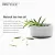 BREYLEE ACNE TREATMENT SERUM & MASK – ANTI ACNE, PIMPLE SCAR REMOVER & WHITENING CARE