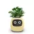 SMART POTS FOR PLANTS - SMALL FLOWER POTS - BEST DESKTOP PLANTS - AI PLANTER - MULTIPLE EXPRESSIONS - SMART SENSORS