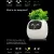 SMART POTS FOR PLANTS - SMALL FLOWER POTS - BEST DESKTOP PLANTS - AI PLANTER - MULTIPLE EXPRESSIONS - SMART SENSORS