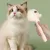 PET STEAM GROOMING COMB - STEAM BRUSH FOR DOGS & CATS, DETANGLING AND HAIR REMOVAL