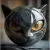 DECORATIVE BLACK CAT STONE FIGURINE - RESIN CAT HEAD HEALING STONE ORNAMENT FOR HOME & OFFICE