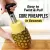 STAINLESS STEEL PINEAPPLE CUTTER - SPIRAL ROTARY PINEAPPLE SLICER - PINEAPPLE PEELER & CORE SEPARATOR
