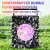 AUTOMATIC 10-HOLE BUBBLE BLOWER MACHINE - PORTABLE PARTY TOY FOR KIDS