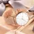 WOMEN WATCH ROSE GOLD MONTRE FEMME WOMEN'S MESH BELT ULTRA-THIN FASHION RELOJES PARA MUJER LUXURY