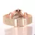 WOMEN WATCH ROSE GOLD MONTRE FEMME WOMEN'S MESH BELT ULTRA-THIN FASHION RELOJES PARA MUJER LUXURY