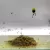 CARP FISHING IN LINE METHOD FEEDERS ACCESSORIES SET
