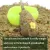 CARP FISHING IN LINE METHOD FEEDERS ACCESSORIES SET