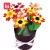 TOYS FOR CHILDREN CRAFTS KIDS DIY FLOWER POT POTTED PLANT KINDERGARTEN LEARNING EDUCATION TOYS