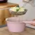 STRAINER NOODLE COOKING SPATULA PASTA OIL SPOON STRAINER KITCHEN TOOL 1 PCS WOODEN HANDLE STAINLESS STEEL