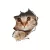 CAT DOG 3D WALL STICKER HOLE VIEW BATHROOM TOILET LIVING ROOM HOME DECOR