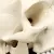 SKULL MODEL OF HUMAN ANATOMICAL MODEL MEDICINE SKULL