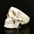 SKULL MODEL OF HUMAN ANATOMICAL MODEL MEDICINE SKULL