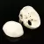 SKULL MODEL OF HUMAN ANATOMICAL MODEL MEDICINE SKULL