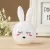 RABBIT LED NIGHT LIGHT AC110-220V SWITCH WALL NIGHT LAMP WITH US PLUG GIFTS FOR KID/BABY/CHILDREN