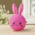 RABBIT LED NIGHT LIGHT AC110-220V SWITCH WALL NIGHT LAMP WITH US PLUG GIFTS FOR KID/BABY/CHILDREN