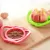 KITCHEN ASSIST APPLE SLICER CUTTER PEAR FRUIT DIVIDER APPLE PEELER